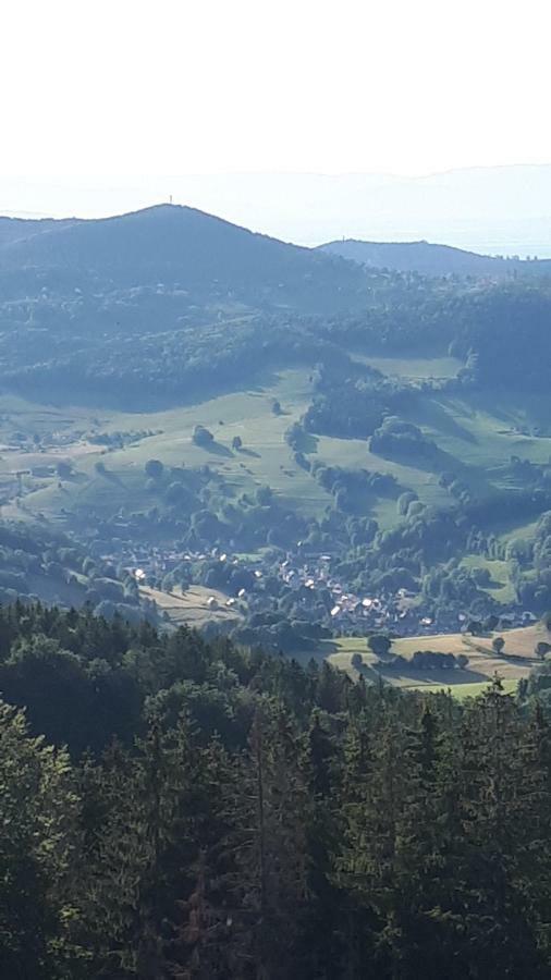 Les O Welches Cote Lac Orbey Kültér fotó