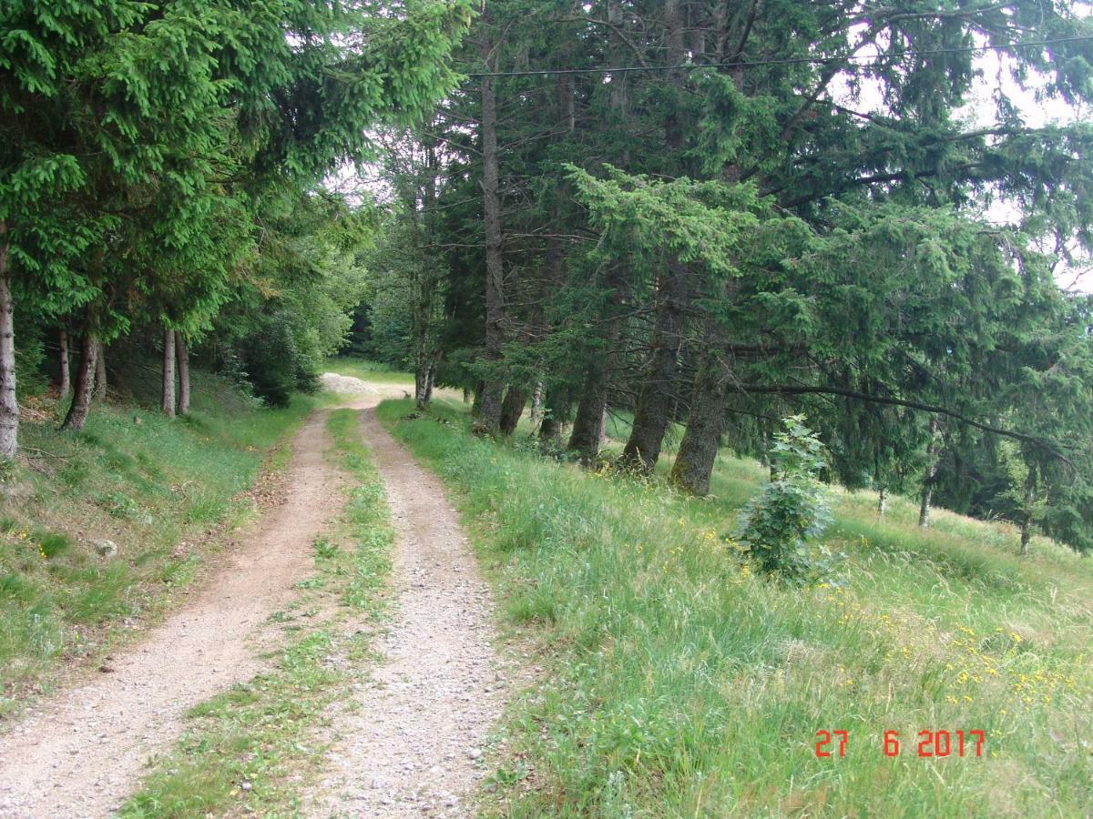Les O Welches Cote Lac Orbey Kültér fotó